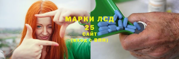 прущие грибы Алзамай