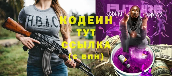 прущие грибы Алзамай