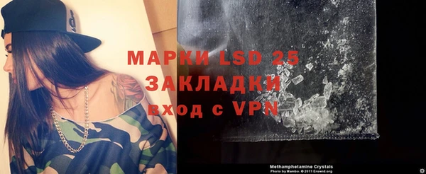 прущие грибы Алзамай